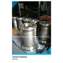 Stainless Steel Weld Neck RF Flange Fittings